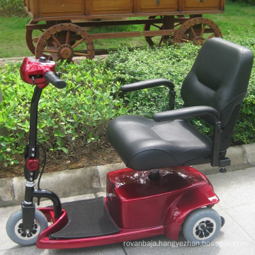 CE Approve Low Duty Electric Trike Mobility Scooter (DL24250-1)